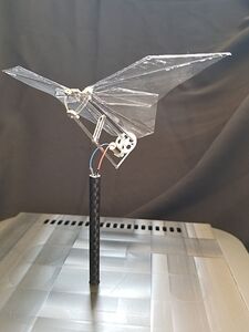 Ultra-small flying butterfly-shaped flapping robot (Fujikawa Laboratory, Tokyo Denki University) Body & universal joint micro parts