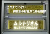 Solve pest problems with powerful insect attracting capabilities using "Mushitori-san" in Thailand