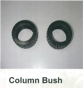 Column Bush